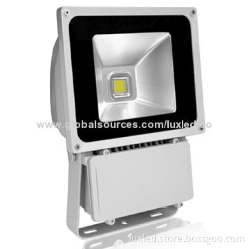 LED Floodlight, COB LED Bridgelux Chip, Meanwell Driver, Suitable for Garden or Building Wall